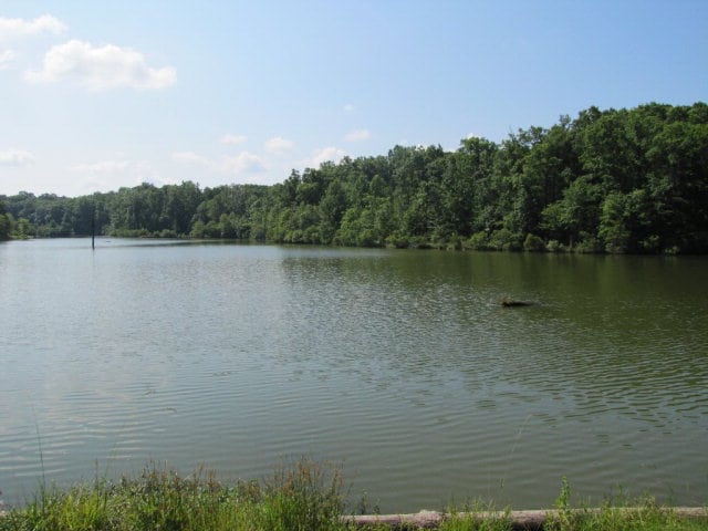 7715 Lynch Rd, Midland, GA 31820 - water view with a forest
