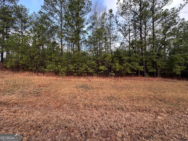 Listing photo 2 for 5ACRES Flint Hill Hwy, Shiloh GA 31826