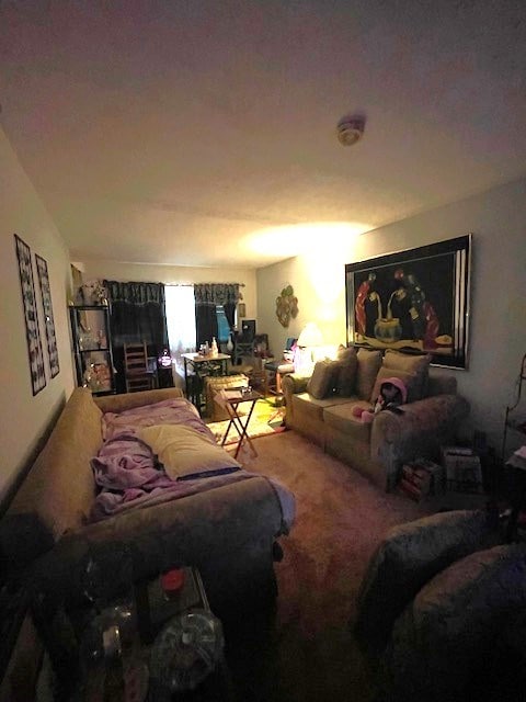 living area with carpet flooring