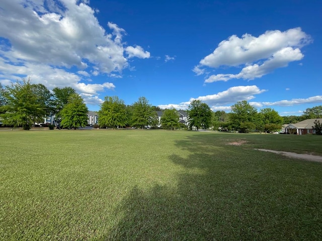 1727 Fountain Ct, Columbus, GA 31904 - photo 10