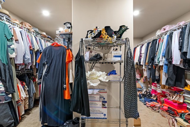 50 Riverside Lndg, Fort Mitchell, AL 36856 - spacious closet with carpet flooring