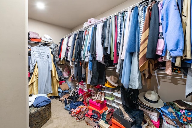 50 Riverside Lndg, Fort Mitchell, AL 36856 - spacious closet featuring carpet