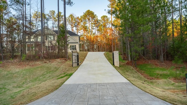 33 Oak Ridge Dr, Waverly Hall, GA 31831 - view of community featuring driveway and a lawn