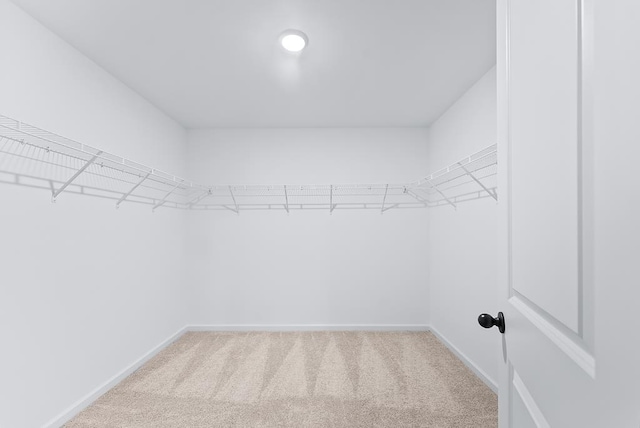 spacious closet with carpet floors