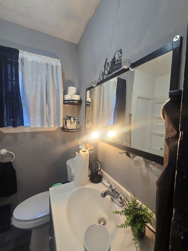 20 Patch Dr, Columbus, GA 31903 - bathroom featuring vaulted ceiling, vanity, and a textured ceiling