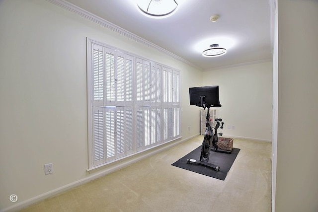 exercise area featuring baseboards, ornamental molding, and carpet floors