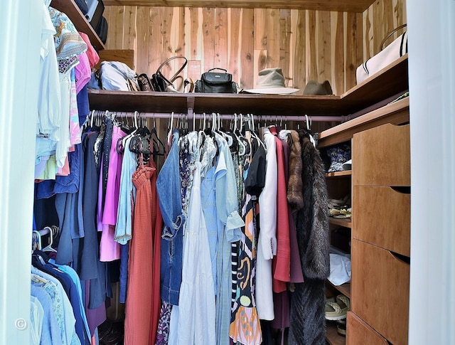 view of spacious closet