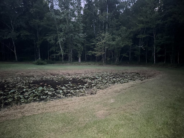 0 Lee Rd Unit 0179, Salem, AL 36874 - photo 2