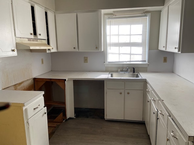 kitchen with sink, white cabinets, and dark wood-type flooring