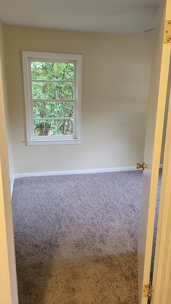 spare room featuring baseboards and carpet floors