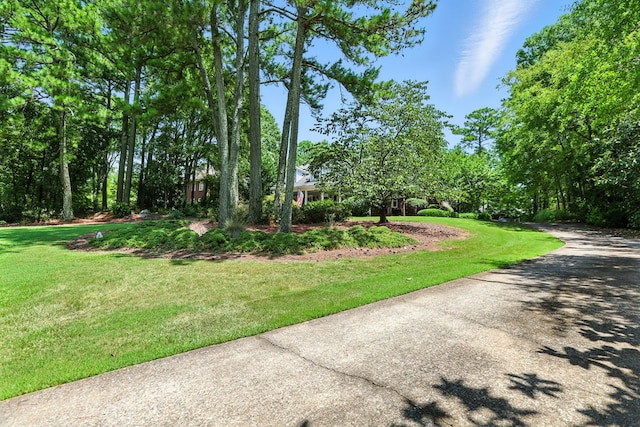 7526 River Crest Dr, Columbus, GA 31904 - photo 66