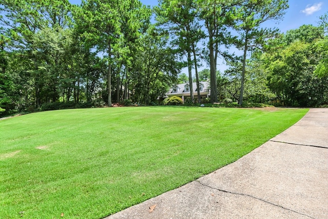 7526 River Crest Dr, Columbus, GA 31904 - photo 68