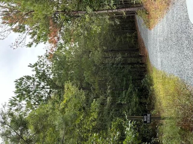 967 Johnny Miller Rd, Buena Vista, GA 31803