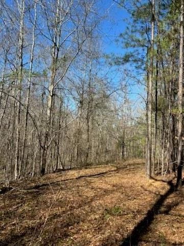 967 Johnny Miller Rd, Buena Vista, GA 31803