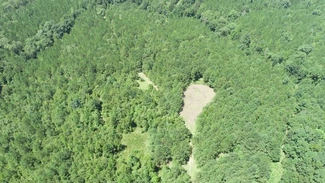 967 Johnny Miller Rd, Buena Vista, GA 31803