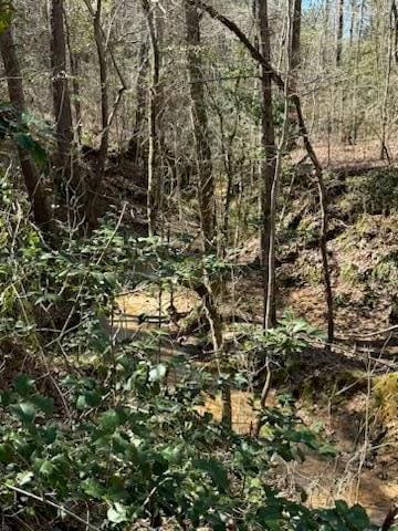 967 Johnny Miller Rd, Buena Vista, GA 31803