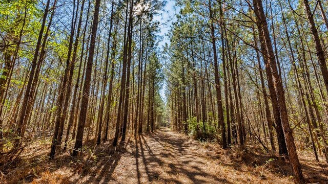 967 Johnny Miller Rd, Buena Vista, GA 31803