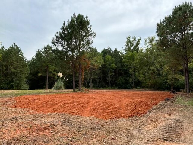 967 Johnny Miller Rd, Buena Vista, GA 31803