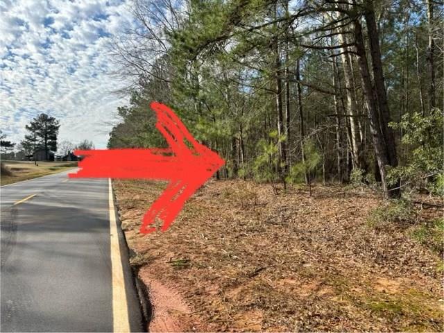 967 Johnny Miller Rd, Buena Vista, GA 31803