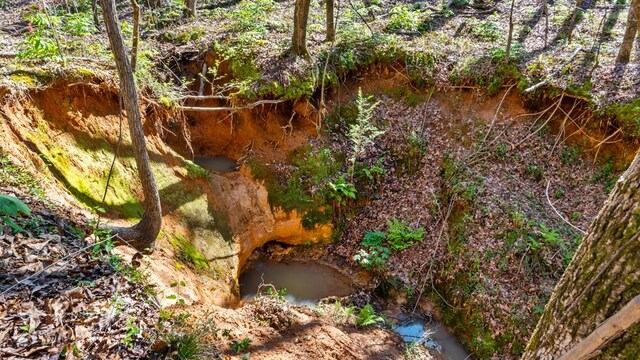 967 Johnny Miller Rd, Buena Vista, GA 31803