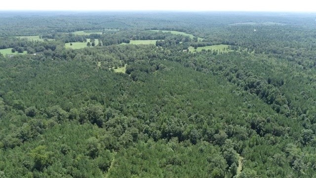 967 Johnny Miller Rd, Buena Vista, GA 31803
