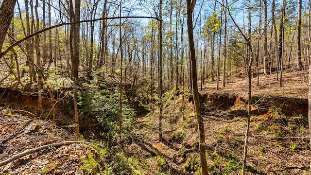 967 Johnny Miller Rd, Buena Vista, GA 31803