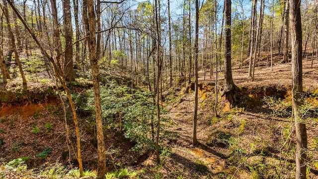 967 Johnny Miller Rd, Buena Vista, GA 31803