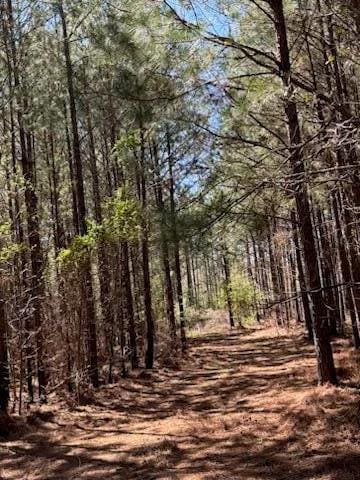 967 Johnny Miller Rd, Buena Vista, GA 31803