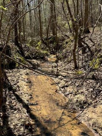 967 Johnny Miller Rd, Buena Vista, GA 31803