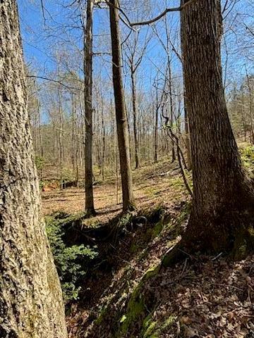 967 Johnny Miller Rd, Buena Vista, GA 31803