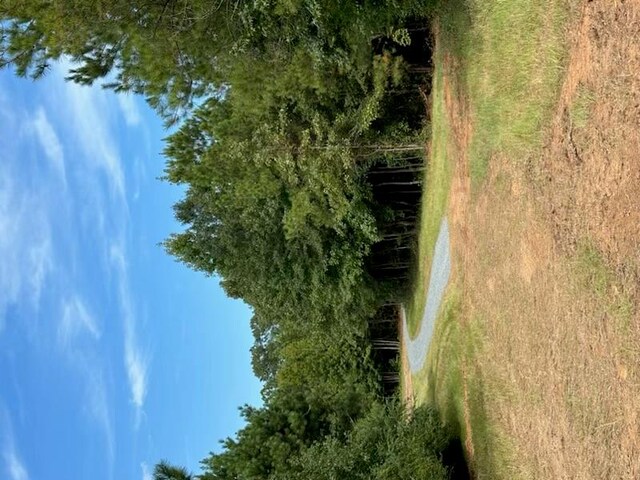 967 Johnny Miller Rd, Buena Vista, GA 31803