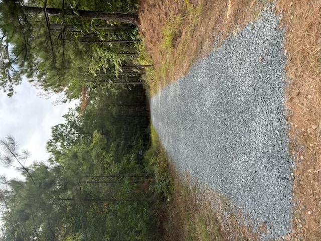 967 Johnny Miller Rd, Buena Vista, GA 31803