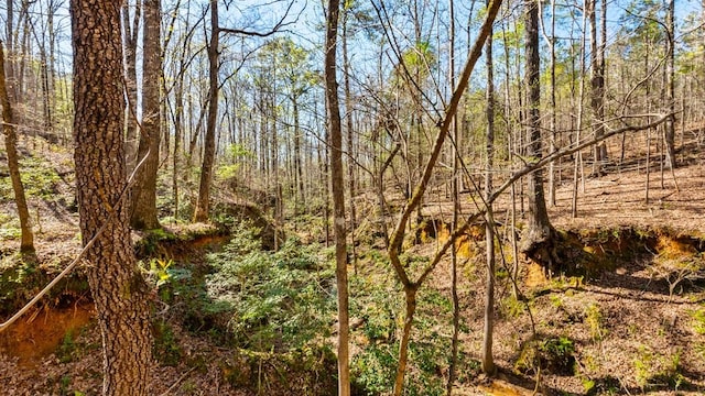 967 Johnny Miller Rd, Buena Vista, GA 31803