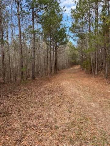 967 Johnny Miller Rd, Buena Vista, GA 31803
