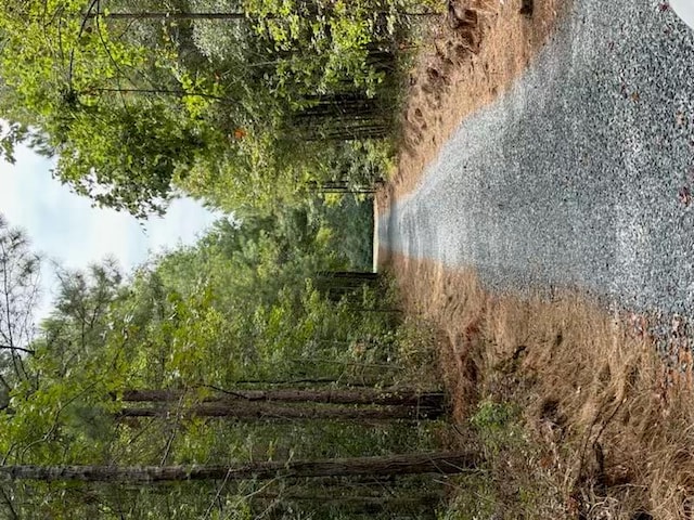 967 Johnny Miller Rd, Buena Vista, GA 31803