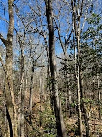 967 Johnny Miller Rd, Buena Vista, GA 31803