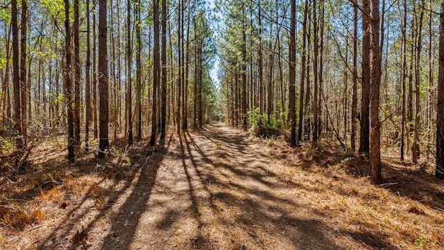 967 Johnny Miller Rd, Buena Vista, GA 31803
