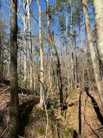 967 Johnny Miller Rd, Buena Vista, GA 31803