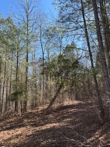 967 Johnny Miller Rd, Buena Vista, GA 31803