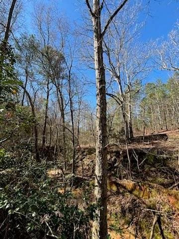 967 Johnny Miller Rd, Buena Vista, GA 31803
