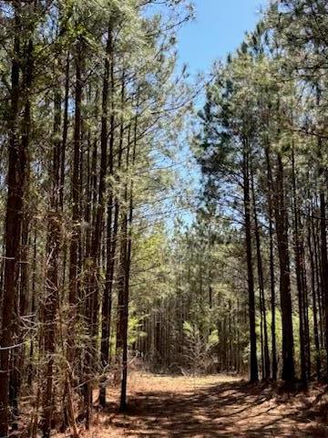 967 Johnny Miller Rd, Buena Vista, GA 31803
