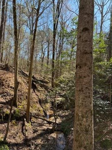 967 Johnny Miller Rd, Buena Vista, GA 31803