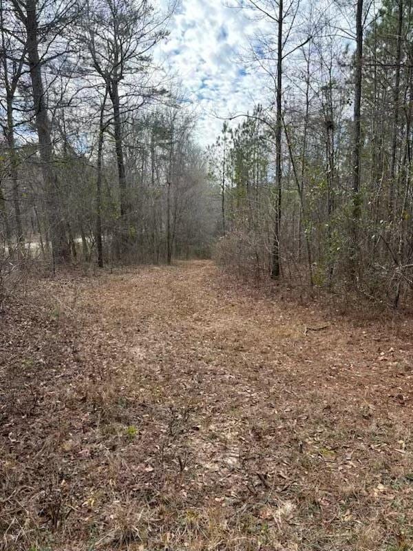 967 Johnny Miller Rd, Buena Vista, GA 31803