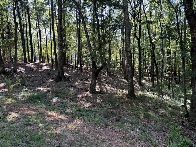 Listing photo 2 for LOT15 Oversee Ct, Midland GA 31820