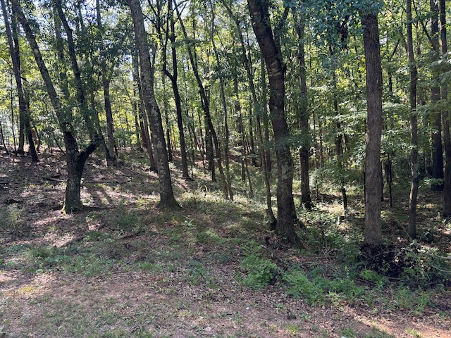 LOT15 Oversee Ct, Midland GA, 31820 land for sale