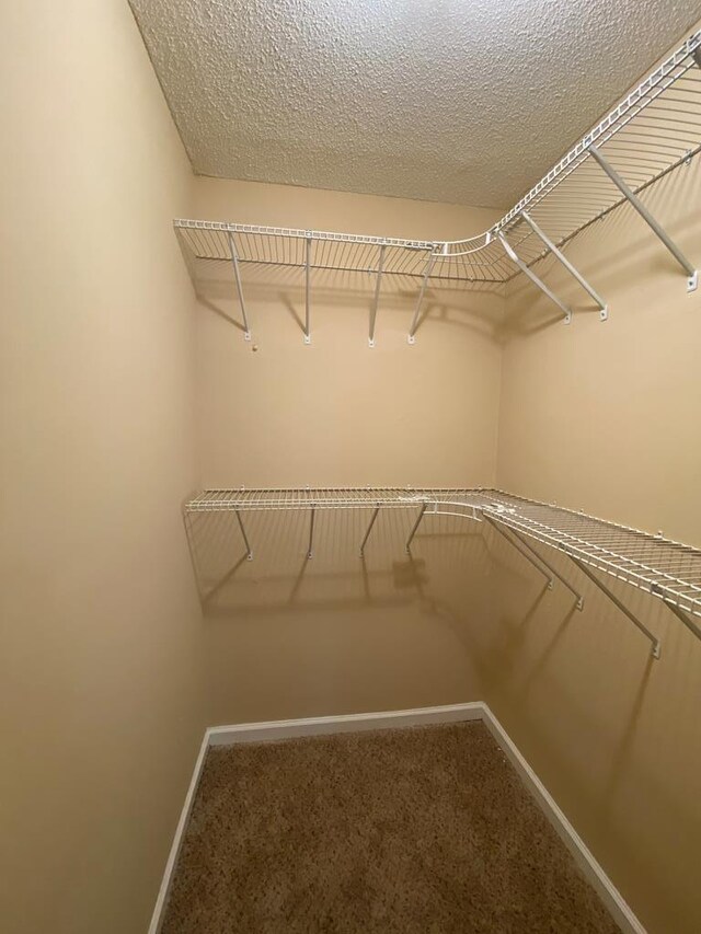 walk in closet with carpet