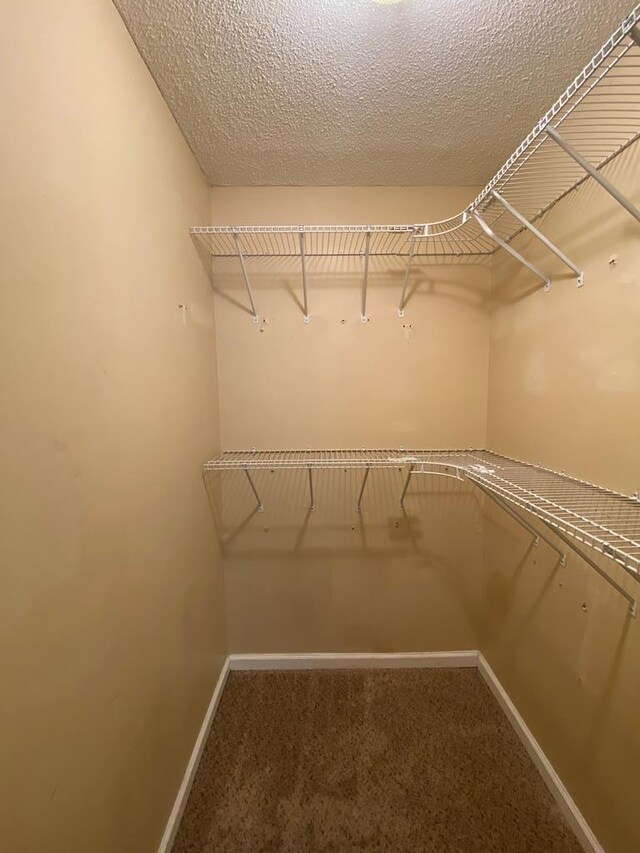 walk in closet with carpet flooring