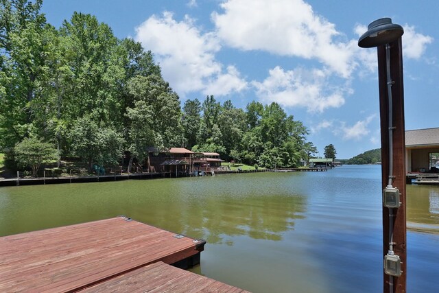 248 Lee Rd Unit 0936, Salem, AL 36874 - photo 6