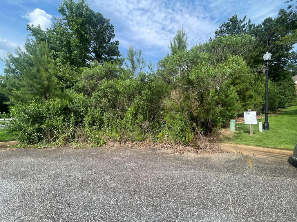 7834 Oakhurst Ct, Midland, GA 31820 - photo 1