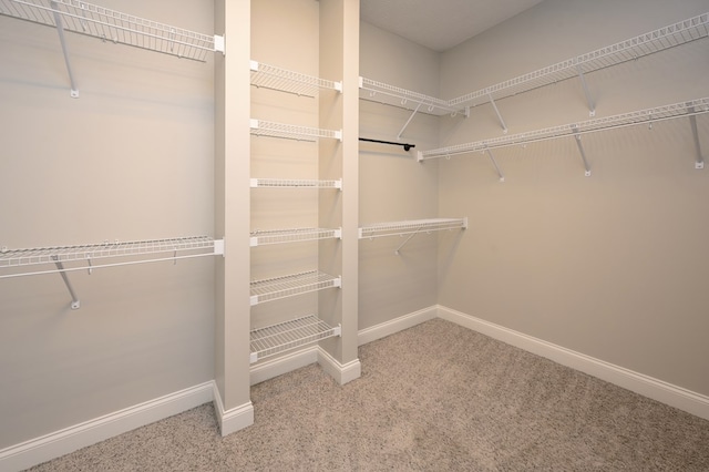 2708 Sawgrass Ln, Phenix City, AL 36867 - walk in closet featuring carpet flooring
